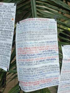 Alt Text: White poster hanging on the fronds of a tree. The text is written in red, black, blue, and green marker. There are the margins of two other handwritten posters that can be seen on either side.