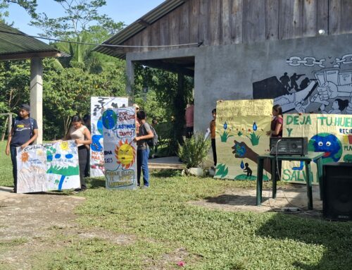Serie de Entrevistas – Donde la Alegría se Encuentra con la Lucha: Festival Madre Tierra (Parte 1)