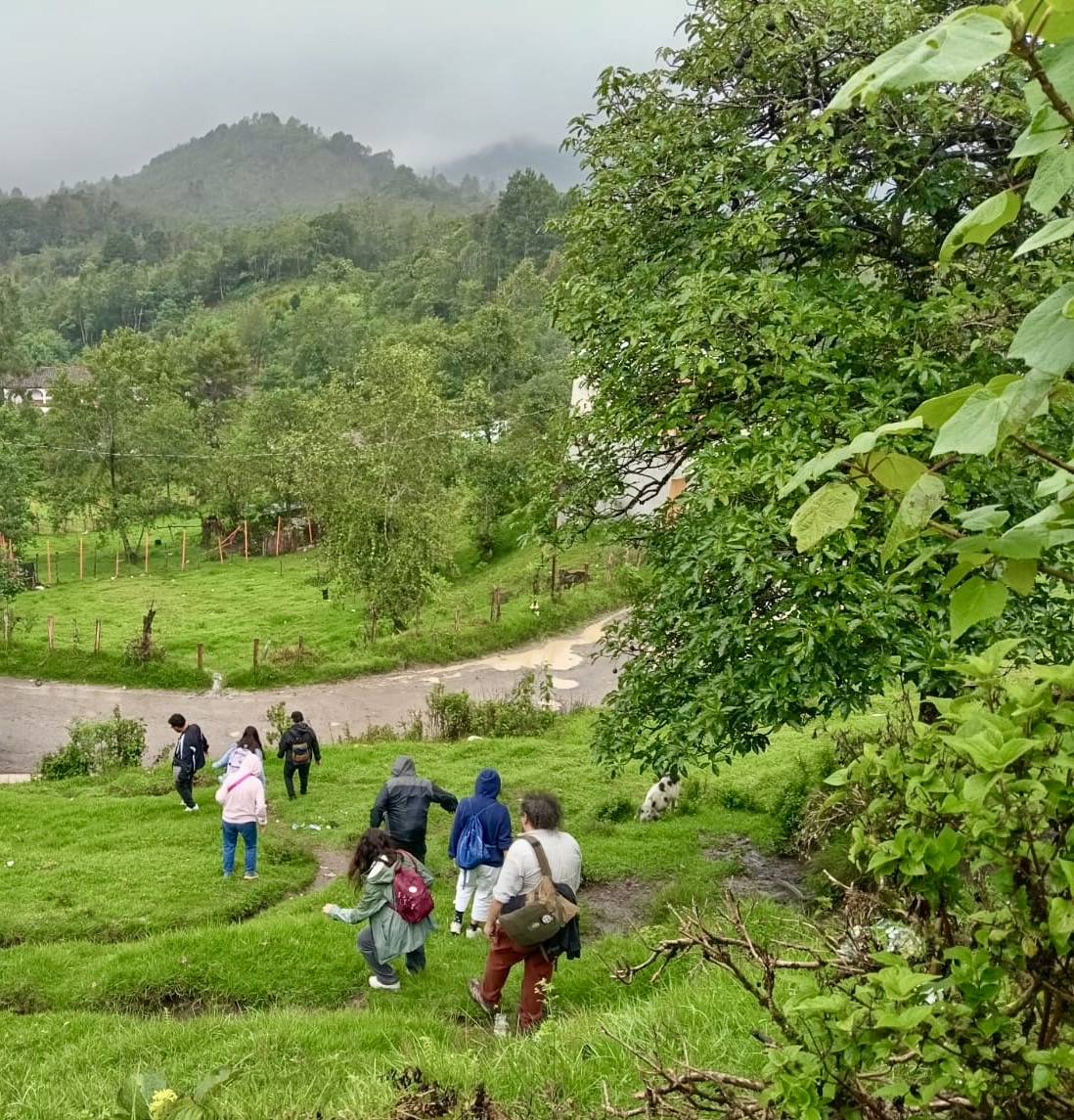 In the right foreground we can see some trees, then a road and several people walking downhill. In the background you can see another house and a very green landscape. // Se observa en primer plano del lado derecho unos árboles, después un camino y varias personas bajando. En el fondo se ven otra casa y un paisaje muy verde.