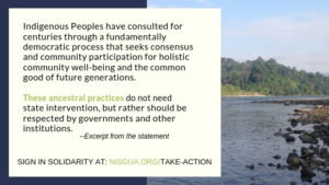 A text box over a photo of a river's shore. The text reads: "Indigenous Peoples have consulted for centuries through a fundamentally democratic process that seeks consensus and community participation for holistic community well-being and the common good of future generations. These ancestral practices do not need state intervention, but rather should be respected by governments and other institutions. -- Excerpt from the statement / Sign in solidarity at: NISGUA.org/takeaction"