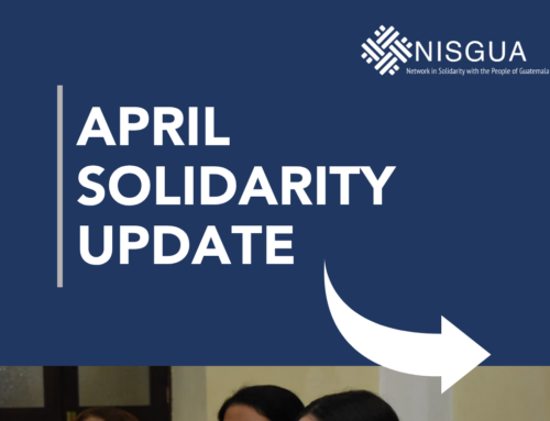 ✨ April Solidarity Update