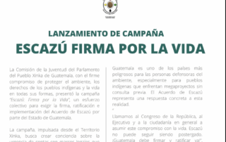 Image of a campaign poster titled “Escazú: Sign for Life,” launched by the Youth Commission of the Parliament of the Xinka People of Guatemala. The poster is divided into two columns of text. It explains that the campaign demands the Guatemalan State to sign, ratify, and implement the Escazú Agreement, highlighting its importance in protecting environmental defenders, ensuring public participation, and guaranteeing access to information. At the bottom, the date “July 11, 2025” is shown. On the right side, there is an illustration of a young woman in profile speaking into a microphone. She has long loose hair, wears earrings, and carries a shoulder bag, set against a circular yellow and green background. The campaign’s slogan is #SignForLife. / Imagen del cartel de lanzamiento de la campaña “Escazú Firma por la Vida”, impulsada por la Comisión de la Juventud del Parlamento del Pueblo Xinka de Guatemala. El cartel está dividido en dos columnas con texto. Explica que la campaña exige al Estado de Guatemala la firma, ratificación e implementación del Acuerdo de Escazú, y resalta su importancia para proteger a defensores ambientales, garantizar la participación ciudadana y el acceso a la información. Al pie del cartel aparece la fecha: 11 de julio de 2025. A la derecha, hay una ilustración de una mujer joven de perfil hablando por un micrófono, con el cabello suelto, aretes y una mochila al hombro, sobre un fondo circular amarillo y verde. El lema de la campaña es: #FirmaPorLaVida.