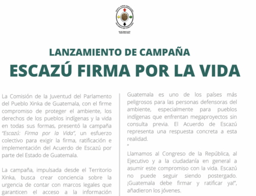 Statement from Xinka Territory: Escazú, Sign for Life / Comunicado desde Territorio Xinka: Escazú, Firma por la Vida