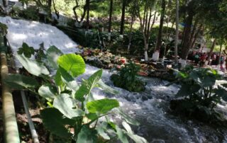 in the image there is a river that carries a lot of strength because you can see the white foam. It is surrounded by trees and plants and in the background there are floral arrangements dedicated to this river.