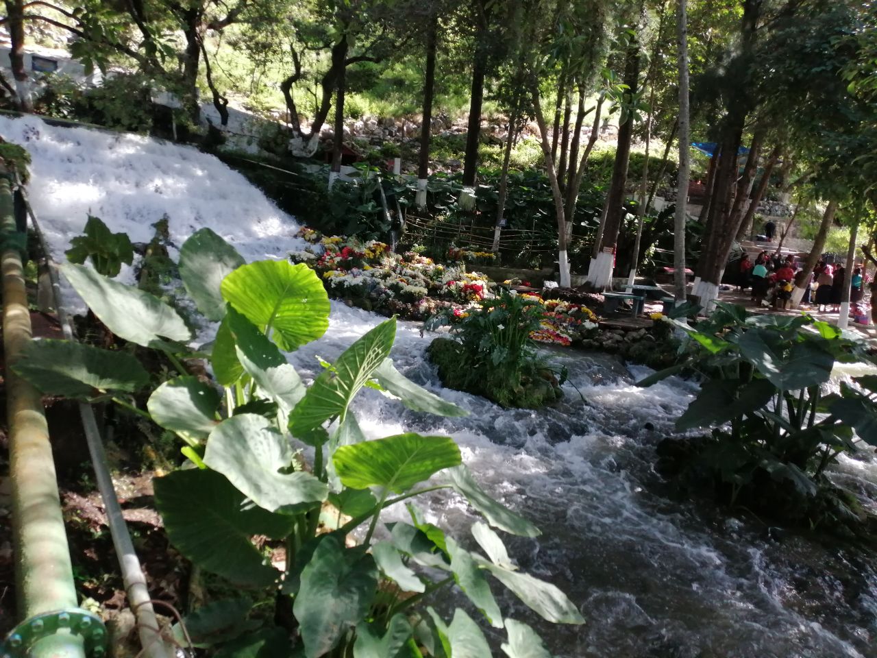 in the image there is a river that carries a lot of strength because you can see the white foam. It is surrounded by trees and plants and in the background there are floral arrangements dedicated to this river.