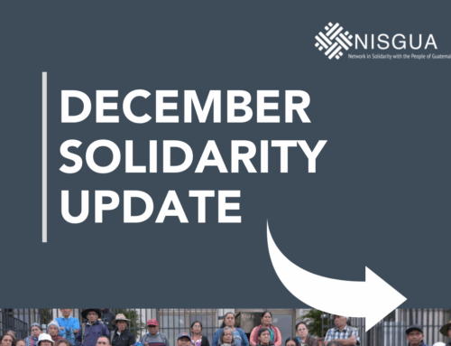 ✊🏽 December Solidarity Update // Actualización Solidaria de Diciembre ✊🏽
