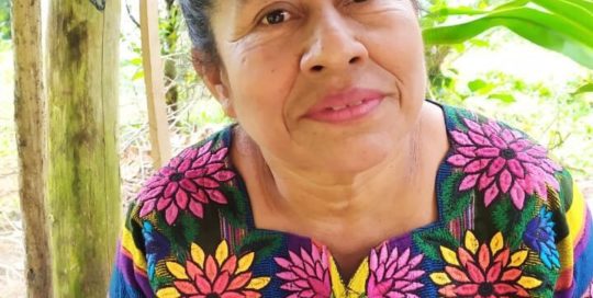 A photograph of Dolores Cu wearing a colorful huipil in front of a bright green background