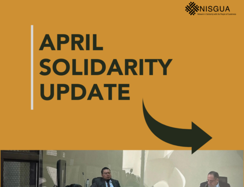 April Solidarity Update // Actualización Solidaria de Abril 2025