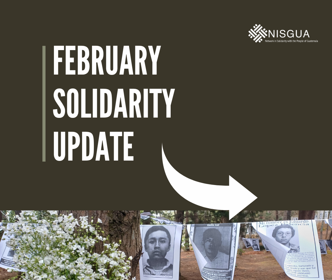 Graphic that reads "February Solidarity Update" with an arrow. Below is a picture of flowers hung to a tree and B&W photos.