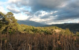 ENG: In a mountain in huehuetenango with the blue sky and a lot of clouds and the corn harvest done. ESP: En alguna montaña de Huehuetenango con el cielo azul con nubes y la cosecha de maíz hecha.