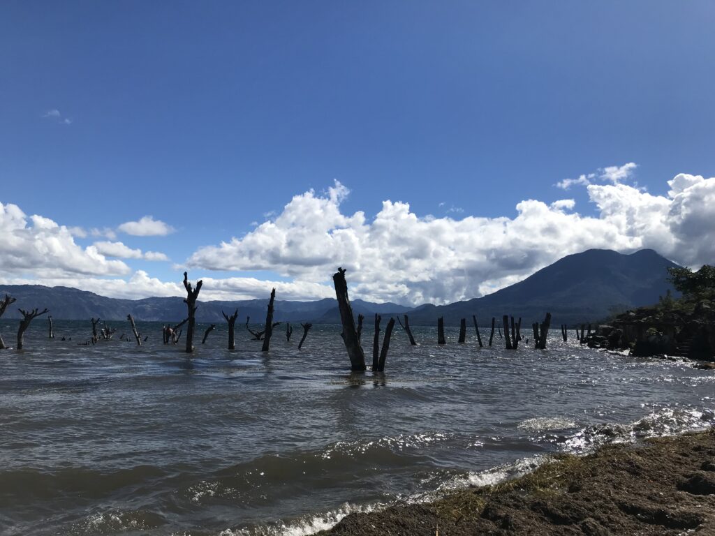 A view of Santiago Volcano from Atitlan lake, across the water some sticks covered by the water
