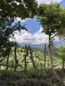 View of a mountainous landscape framed by trees and a rustic wooden fence in the foreground. The sky is partly cloudy, and the valley below is covered with green vegetation.