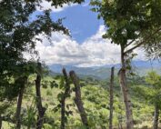Vista de un paisaje montañoso enmarcado por árboles y una cerca rústica de madera en primer plano. El cielo está parcialmente nublado y el valle abajo está cubierto de vegetación verde.