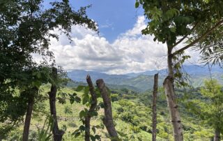 Vista de un paisaje montañoso enmarcado por árboles y una cerca rústica de madera en primer plano. El cielo está parcialmente nublado y el valle abajo está cubierto de vegetación verde.