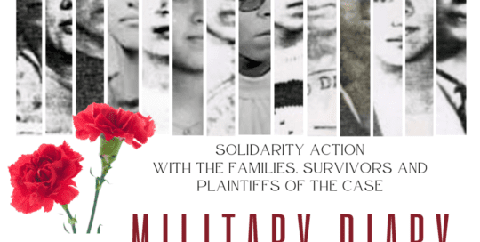 On a white background, 14 faces of women victims in the military diary case are highlighted in vertical stripes, in grayscale. A red carnation is highlighted in the left corner and in black letters reads: "Solidarity action with families and plaintiffs of the military diary case. Accompanying the hashtags #IBeliveThem #IBeliveTheVictimsr #MilitaryDiaryCase