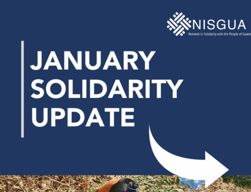 ✨ January Solidarity Update / Actualización Solidaria de Enero ✨