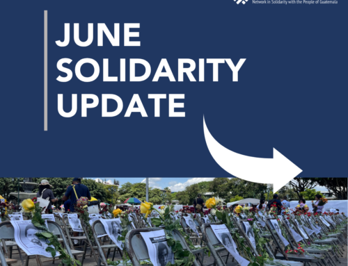 🌞 June Solidarity Update