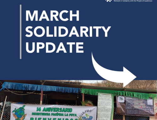 🌳 March Solidarity Update 🌳