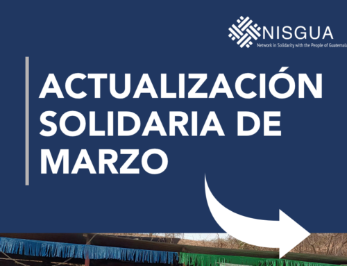 🌳 Actualización Solidaria de Marzo 🌳