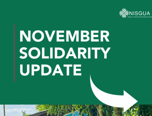 ✨ November Solidarity Update / Actualización Solidaria de Noviembre ✨