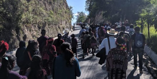 Photograph of Mayan people walking up a hill surrounded by trees.