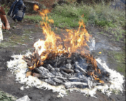 At the center of the picture, in the middle of a forest, a sacred fire is being burned. Around the woodfire, petals of white flowers surround the fire.