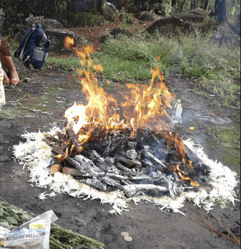 At the center of the picture, in the middle of a forest, a sacred fire is being burned. Around the woodfire, petals of white flowers surround the fire. 