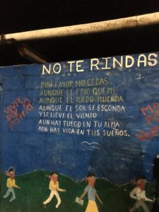 Mural on Zapatista Territory of a poem titled "No Te Rindas", or "Don't Give Up"