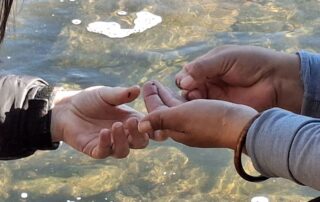 Primer plano de dos pares de manos sobre las aguas poco profundas y soleadas del río. Una persona parece estar mostrando o pasando con delicadeza un pequeño objeto, posiblemente una diminuta criatura acuática o un granito, a la otra.