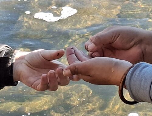 Connected by Water and Hope –  Generations in Struggle Speaking Tour Report