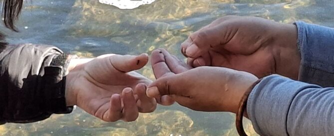 Primer plano de dos pares de manos sobre las aguas poco profundas y soleadas del río. Una persona parece estar mostrando o pasando con delicadeza un pequeño objeto, posiblemente una diminuta criatura acuática o un granito, a la otra.
