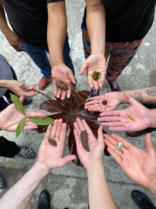 Individual hands form a circle together. Each hand holds a stone or leaf. 
